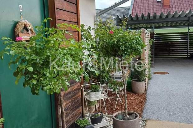 Terrassenwohnung mieten in 8261 Sinabelkirchen (Bild 2)