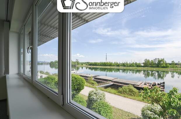 Büro / Praxis mieten in 4470 Enns (Bild 4)