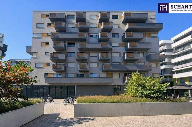 Terrassenwohnung kaufen in 1220 Wien (Bild 1)