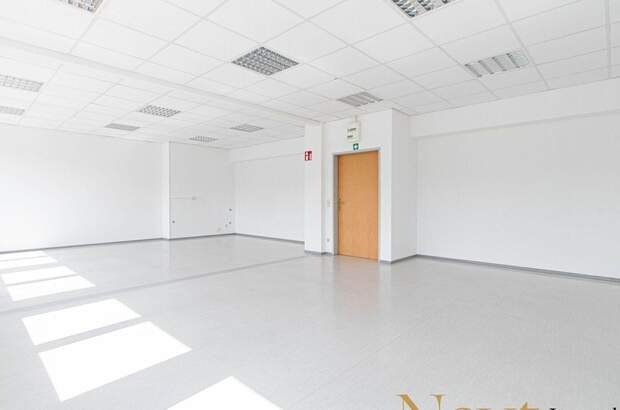 Gewerbeobjekt mieten in 4600 Wels (Bild 2)