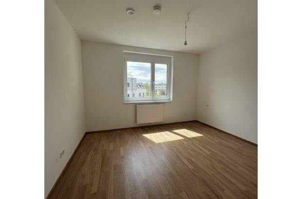 Terrassenwohnung mieten in 2700 Wr. Neustadt (Bild 5)
