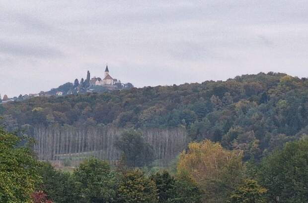 Gewerbeobjekt kaufen in 8354 Waltra (Bild 2)