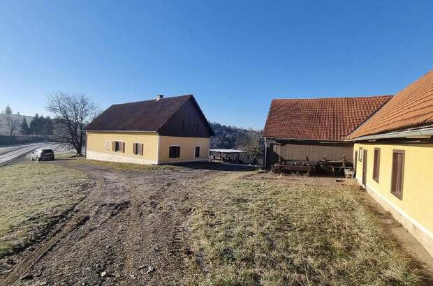 Gewerbeobjekt kaufen in 8082 Kirchbach (Bild 4)