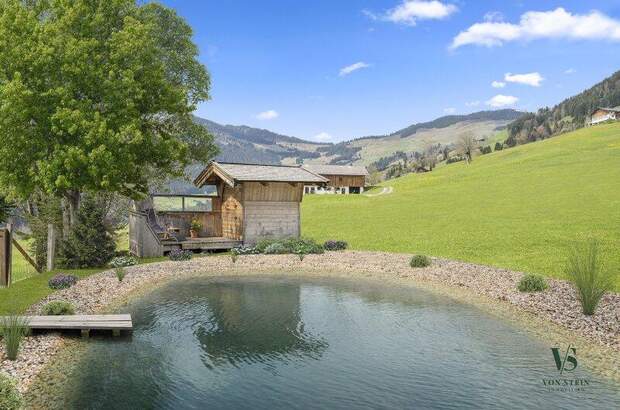 Haus kaufen in 6361 Hopfgarten (Bild 1)