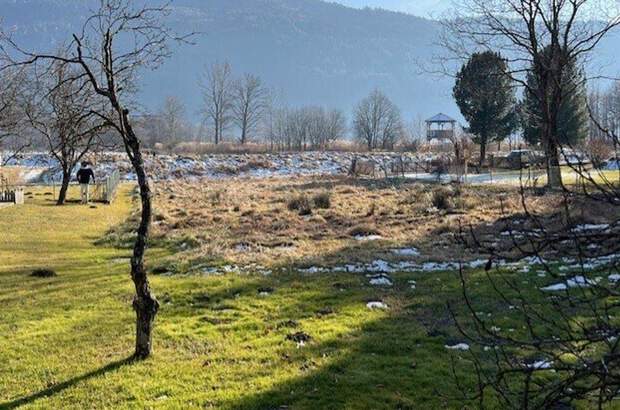 Grundstück kaufen in 9552 Steindorf (Bild 4)