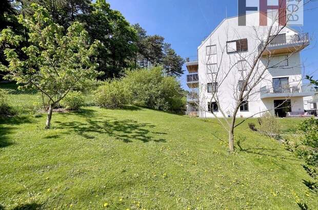 Wohnung kaufen in 2340 Mödling (Bild 3)