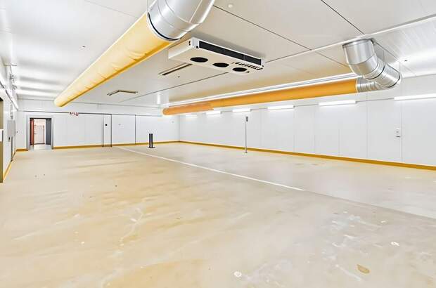 Gewerbeobjekt mieten in 4030 Linz (Bild 1)