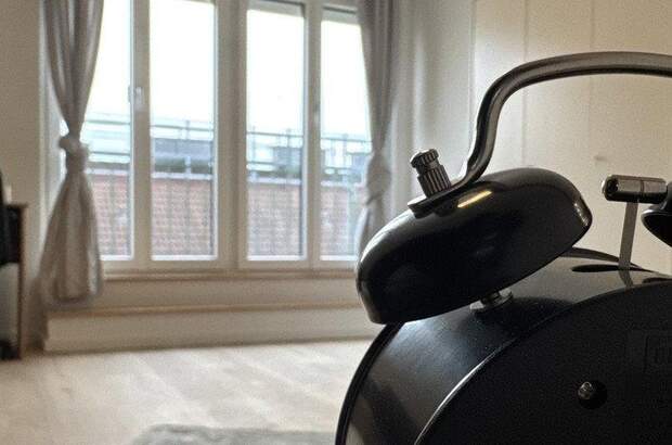 Terrassenwohnung mieten in 1030 Wien (Bild 2)