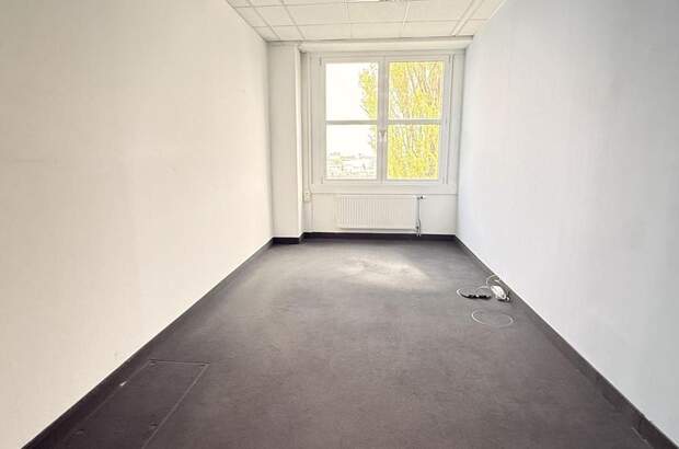 Gewerbeobjekt mieten in 2320 Schwechat (Bild 4)