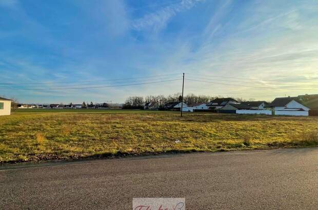 Grundstück kaufen in 4614 Marchtrenk (Bild 2)