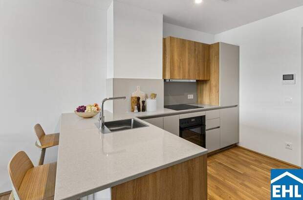 Terrassenwohnung mieten in 1200 Wien (Bild 3)