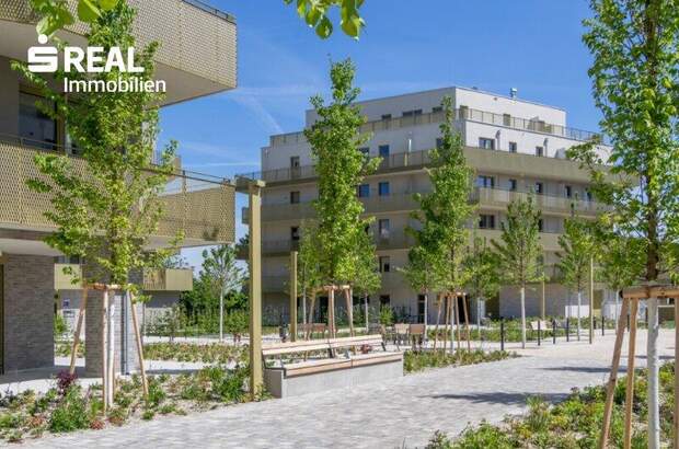 Terrassenwohnung kaufen in 1210 Wien (Bild 1)