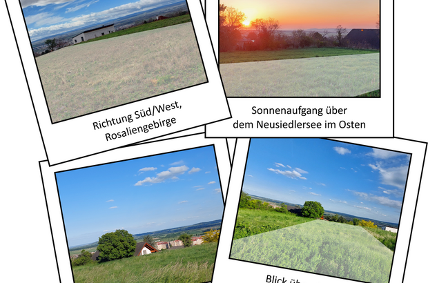 Grundstück kaufen in 7000 Eisenstadt (Bild 3)