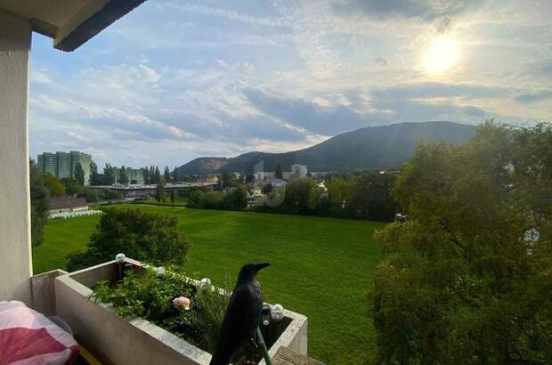 Eigentumswohnung in 8051 Graz (Bild 1)