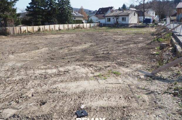 Grundstück kaufen in 3433 Königstetten (Bild 4)