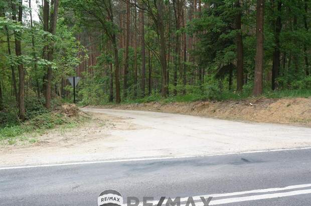 Gewerbeobjekt kaufen (Bild 3)