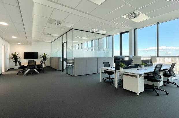 Gewerbeobjekt mieten in 1220 Wien (Bild 3)