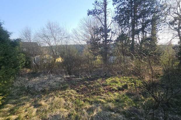 Grundstück kaufen in 8062 Kumberg (Bild 3)