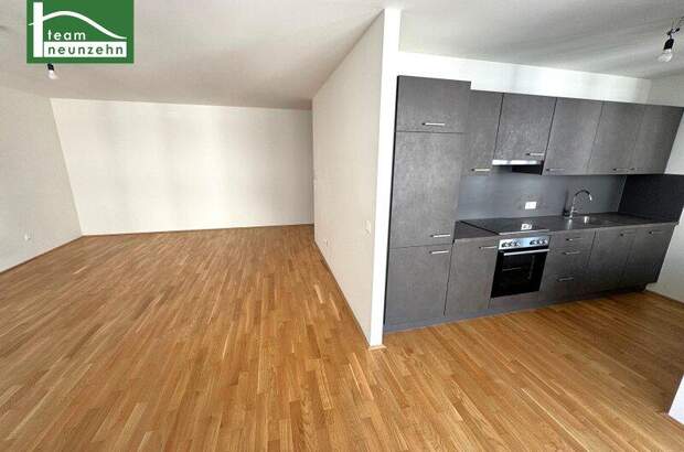 Terrassenwohnung mieten in 1100 Wien (Bild 4)