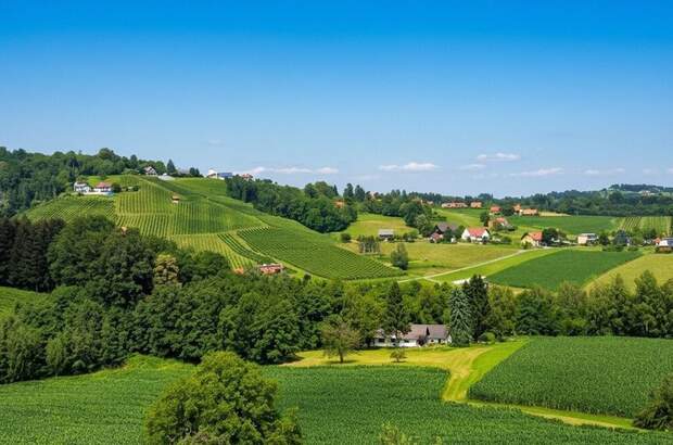 Haus kaufen in 8551 Wies (Bild 2)