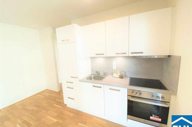 Terrassenwohnung mieten in 1100 Wien (Bild 2)