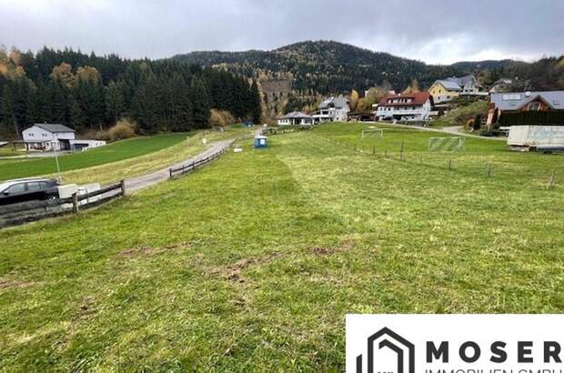 Grundstück kaufen in 8831 Niederwölz (Bild 5)