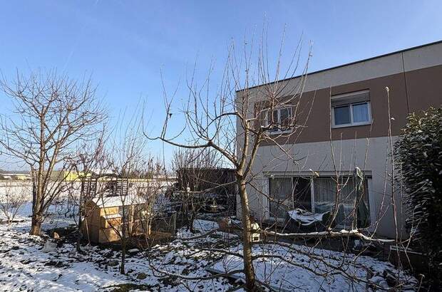 Mehrfamilienhaus kaufen in 2485 Wimpassing (Bild 2)