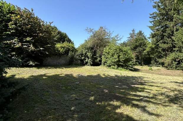 Grundstück kaufen in 2380 Perchtoldsdorf (Bild 2)