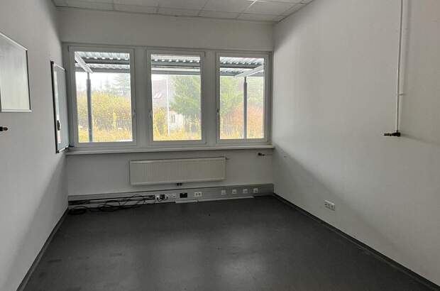 Gewerbeobjekt mieten in 8301 Laßnitzhöhe (Bild 4)