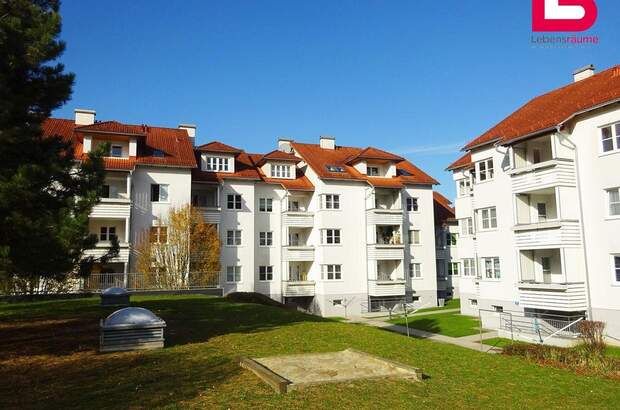 Wohnung mieten in 4563 Micheldorf (Bild 4)