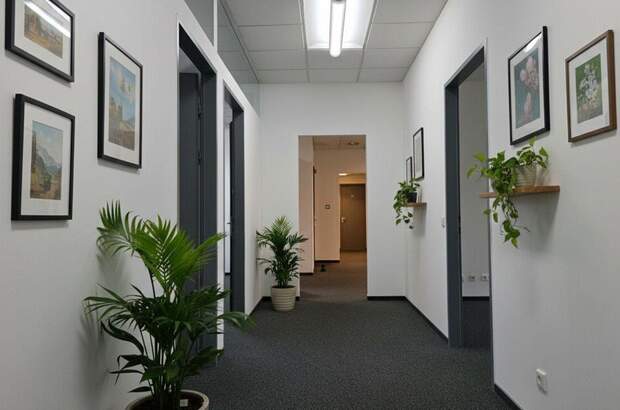 Gewerbeobjekt mieten in 4020 Linz (Bild 2)