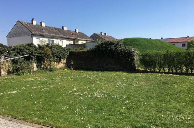 Wohnung mieten in 4600 Wels (Bild 3)