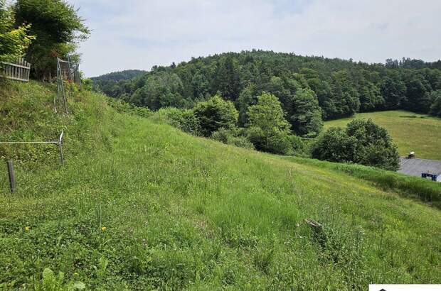 Grundstück kaufen in 8075 Hart (Bild 2)