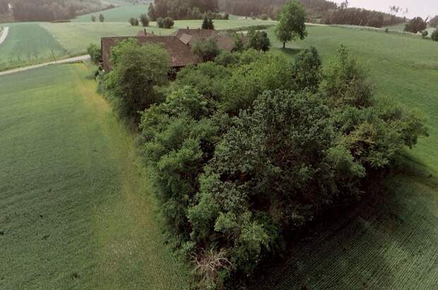 Haus mit Garten kaufen in 3823 Wetzles (Bild 5)