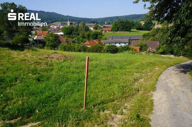 Grundstück kaufen in 3962 Heinrichs (Bild 2)