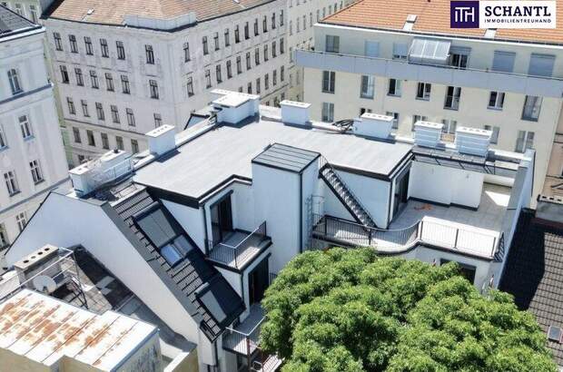 Terrassenwohnung kaufen in 1050 Wien (Bild 3)