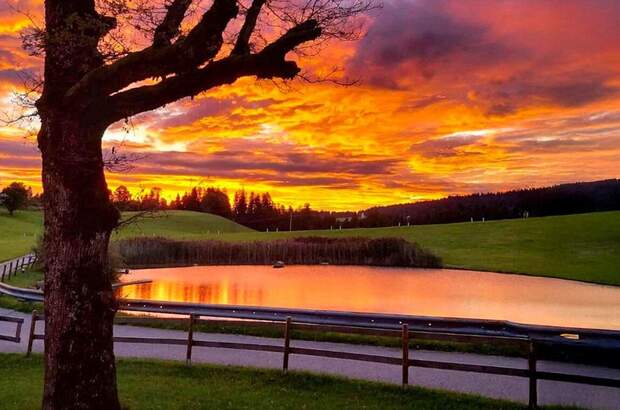 Grundstück kaufen in 6900 Möggers (Bild 1)