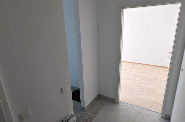 Altbauwohnung mieten in 2103 Langenzersdorf (Bild 4)