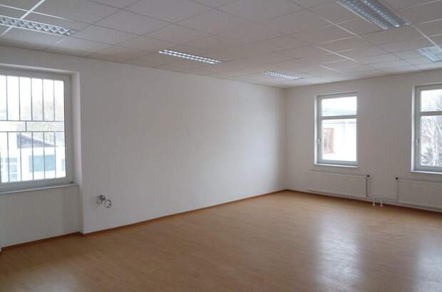 Gewerbeobjekt mieten in 1230 Wien (Bild 3)