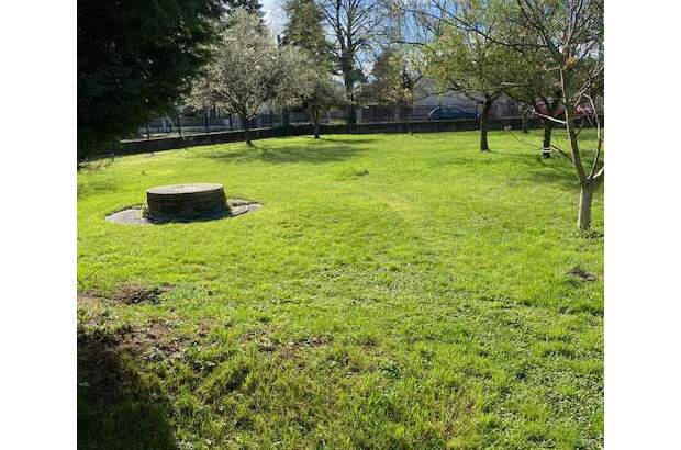 Grundstück kaufen in 2231 Strasshof (Bild 5)