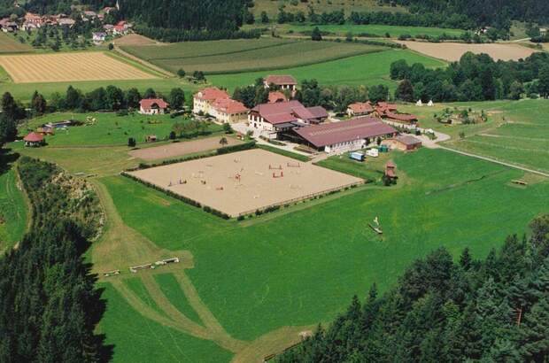 Gewerbeobjekt kaufen in 9314 Launsdorf (Bild 1)
