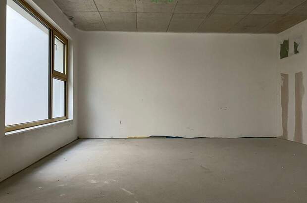 Gewerbeobjekt mieten in 1230 Wien (Bild 3)