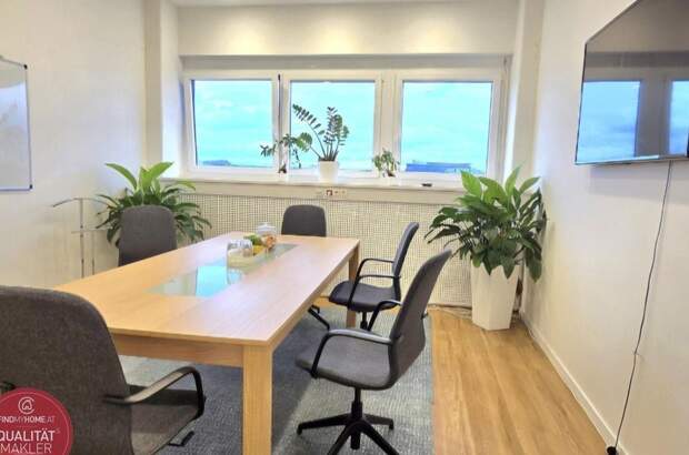 Gewerbeobjekt mieten in 2351 Wiener Neudorf (Bild 3)