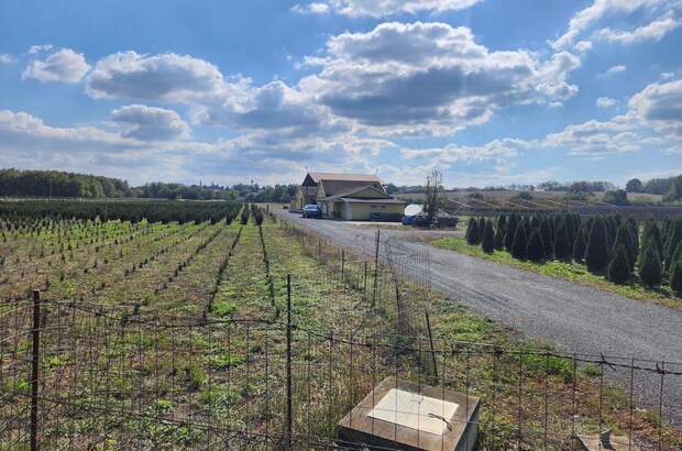 Gewerbeobjekt kaufen in 9771 Balogunyom (Bild 2)