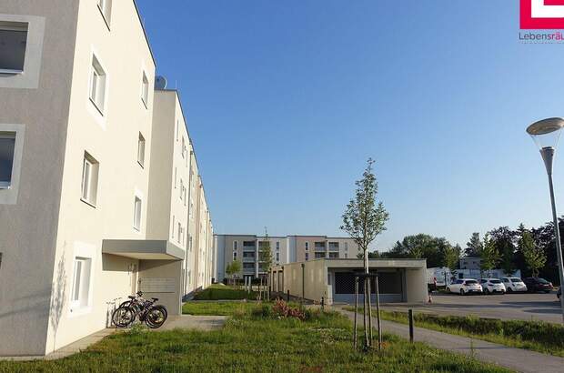 Immobilie mieten in 4053 Haid (Bild 2)