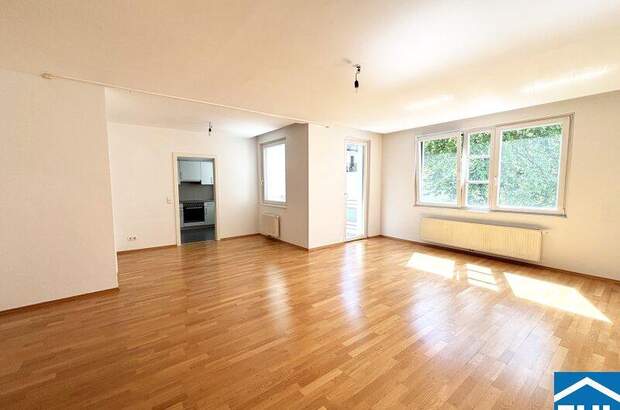 Terrassenwohnung mieten in 1040 Wien (Bild 1)