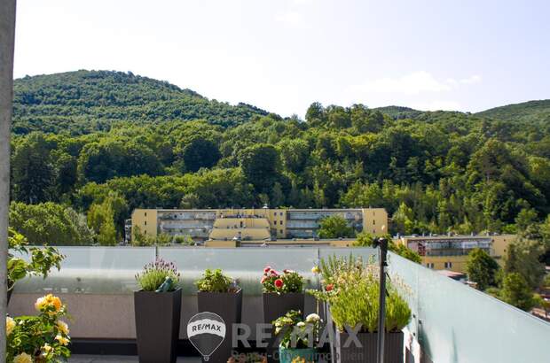 Terrassenwohnung kaufen in 2391 Kaltenleutgeben (Bild 4)