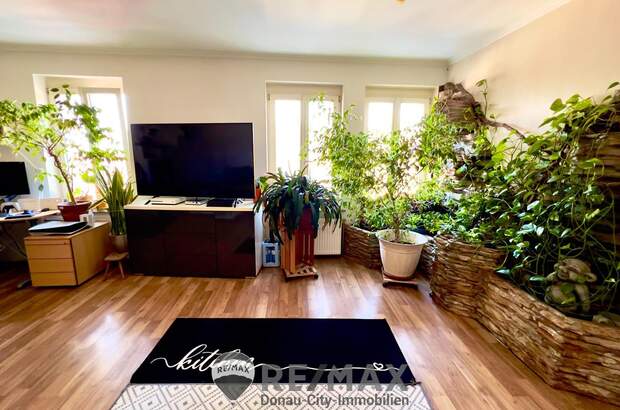 Mehrfamilienhaus kaufen in 2410 Hainburg (Bild 2)