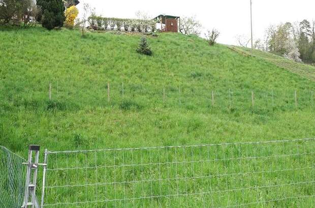 Grundstück kaufen in 8101 Gratkorn (Bild 3)