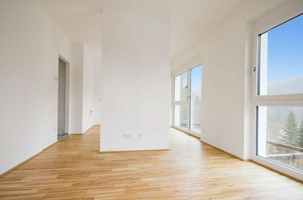 Gewerbeobjekt kaufen in 2680 Steinhaus (Bild 1)